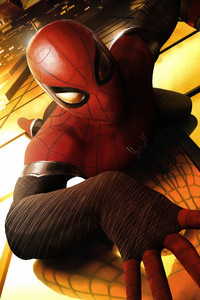 Spiderman On The Wall (1080x2160) Resolution Wallpaper