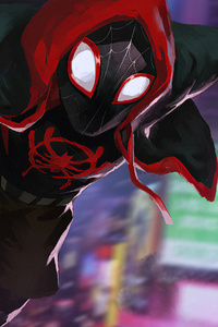 Spiderman On The Way (480x854) Resolution Wallpaper