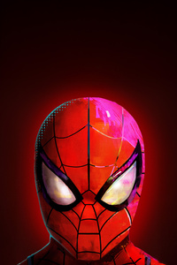 Spiderman Power In Peace (1080x2160) Resolution Wallpaper