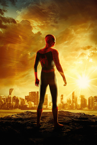 Spiderman Reborn (540x960) Resolution Wallpaper