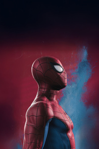 Spiderman Rises (2160x3840) Resolution Wallpaper