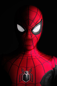 480x854 Spiderman Self Portrait