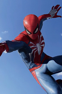 Spiderman Spider Web Artwork (640x960) Resolution Wallpaper