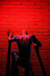 Spiderman Takes A Stand (1242x2668) Resolution Wallpaper