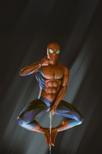 Spiderman Web Of The Hero (1280x2120) Resolution Wallpaper