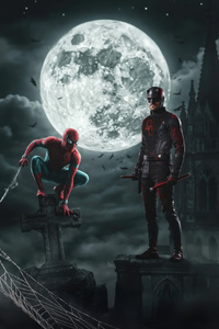 Spiderman X Daredevil (1080x2280) Resolution Wallpaper