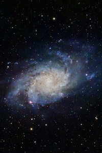 Spiral Galaxy With Stars (640x960) Resolution Wallpaper