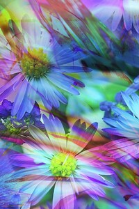 480x854 Spring Flowers Abstract