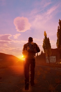 1080x2280 State Of Decay 2 2018