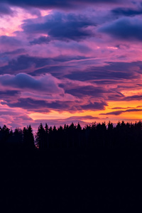 Sunset Clouds Forest 4k (240x400) Resolution Wallpaper