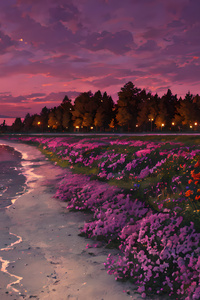 Sunset Hues Illuminate Anime Woodlands (1080x1920) Resolution Wallpaper