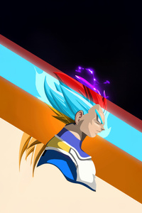 Super Saiyan 3 Vegeta (2160x3840) Resolution Wallpaper