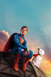 Superman Above The Clouds Hero Pet (320x568) Resolution Wallpaper