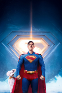 Superman And Krypto Heroic Partnership (750x1334) Resolution Wallpaper