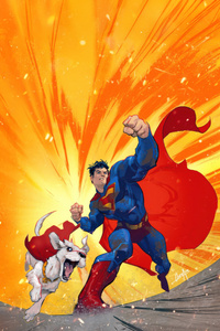Superman X Hero Pet (480x800) Resolution Wallpaper