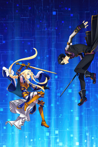 Sword Art Online Game (1280x2120) Resolution Wallpaper