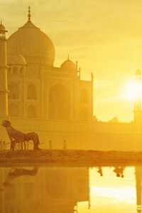 Taj Mahal (240x400) Resolution Wallpaper