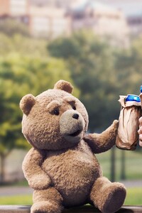 Ted 2 (1080x2280) Resolution Wallpaper