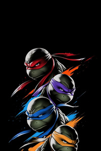 Teenage Mutant Ninja Turtles Brothers In Battle (640x960) Resolution Wallpaper