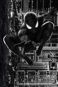 750x1334 The Amazing Spider Man Vs Black Spiderman