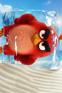 The Angry Birds Movie 2 2019 (480x800) Resolution Wallpaper