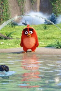 The Angry Birds Movie Latest