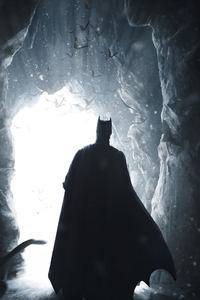 1440x2960 The Batman Coming Out Of Cave