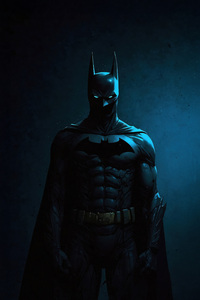 The Batman Dark Vengeance (1080x2280) Resolution Wallpaper