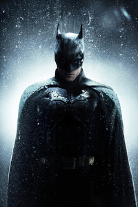 1080x2280 The Batman In Ice 4k