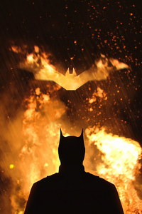 The Batman Vigilante