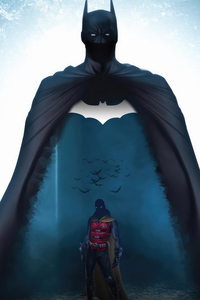 The Brave And The Bold Batman And Robin (1080x2280) Resolution Wallpaper