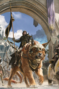 The Elder Scrolls Online (540x960) Resolution Wallpaper