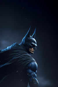 The Evolution Of Batman (1242x2668) Resolution Wallpaper