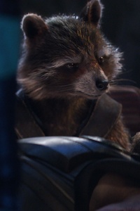 The Guardians Meet An Avenger Rocket Raccoon And Mantis In Avengers Infinity War 2018 (480x854) Resolution Wallpaper