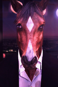 The Horse From Horsin Around (640x960) Resolution Wallpaper