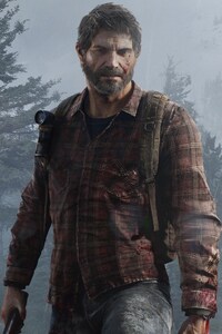 The Last Of Us Joel Eliie (360x640) Resolution Wallpaper