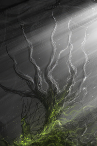 1080x2160 The Last Stand Tree