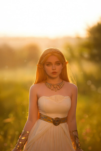 The Legend Of Zelda Cosplay 5k (640x960) Resolution Wallpaper