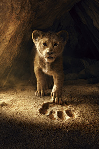 The Lion King 2019 8k (480x854) Resolution Wallpaper