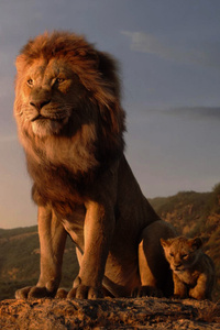 640x960 The Lion King 4k