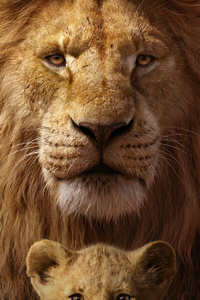 640x960 The Lion King 8k