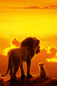 640x960 The Lion King Movie 8k