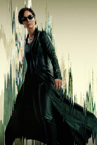 The Matrix Carrie Anne Moss As Trinity