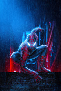 The New Face Of Spider Man (1125x2436) Resolution Wallpaper