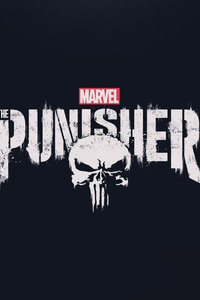 The Punisher 2017 HD Logo (750x1334) Resolution Wallpaper