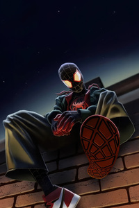 The Spider Man Legacy Continues (640x960) Resolution Wallpaper