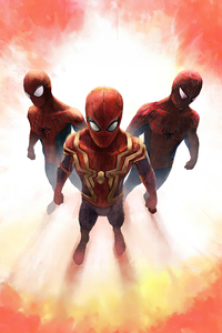 The Spider Trio (360x640) Resolution Wallpaper