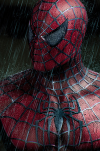 The Spiderman (320x480) Resolution Wallpaper