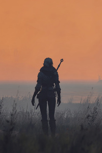 The Witcher 3 8k (240x320) Resolution Wallpaper
