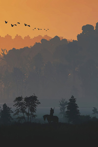 720x1280 The Witcher 3 Minimal Nature 5k
